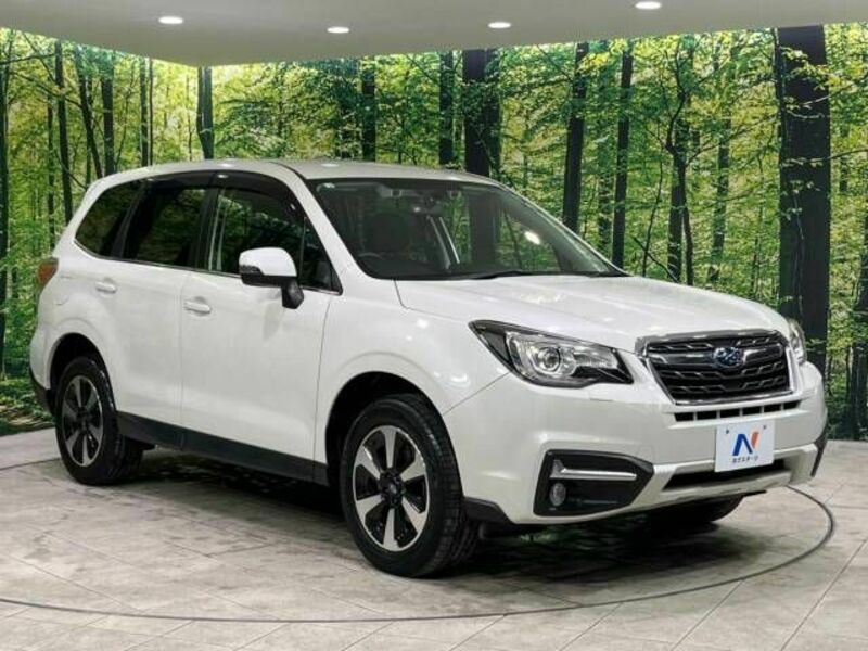 FORESTER-16