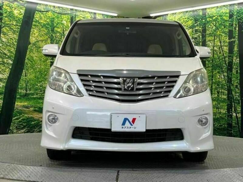 ALPHARD-15