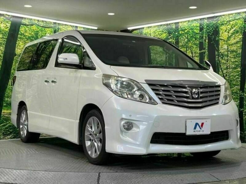 ALPHARD-17