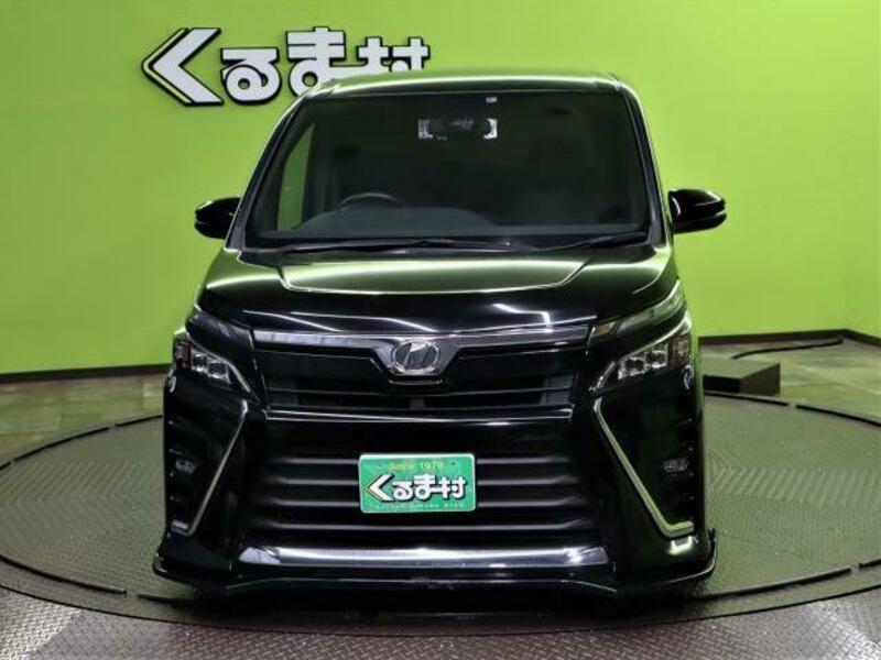 VOXY-19