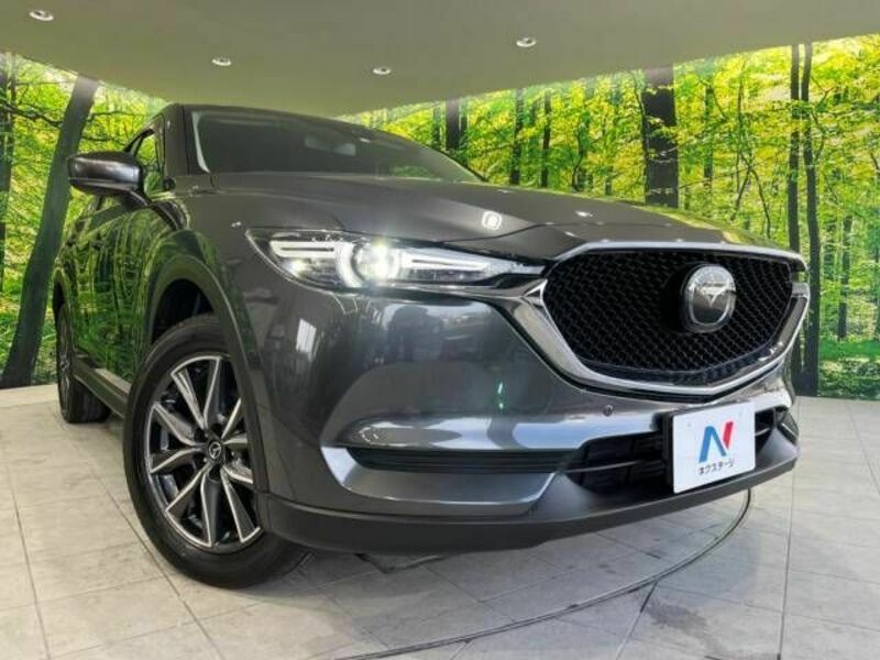 CX-5-12