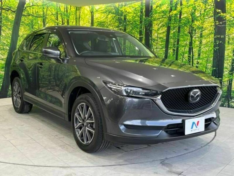 CX-5-16