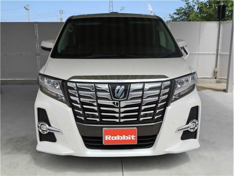 ALPHARD-10