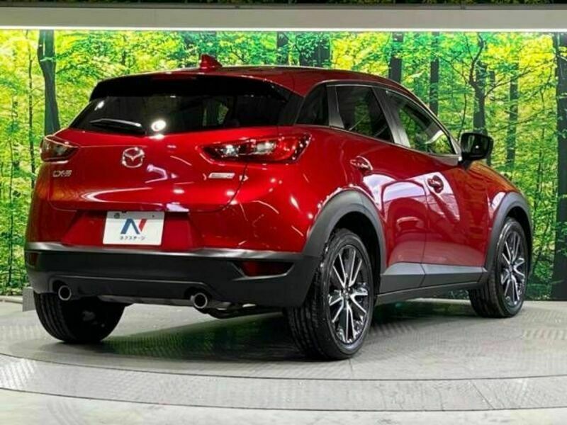 CX-3-17