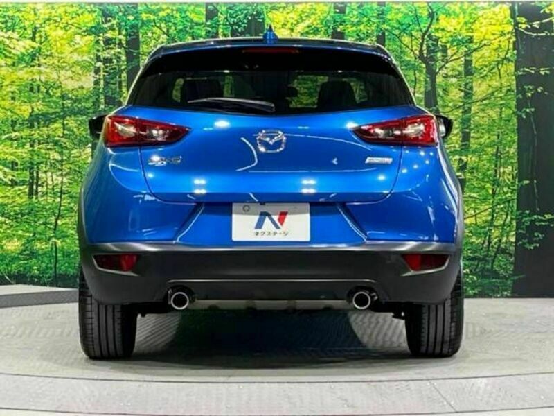 CX-3-15