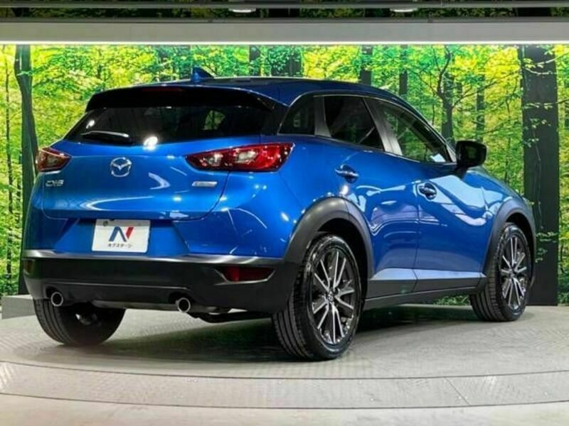 CX-3-17