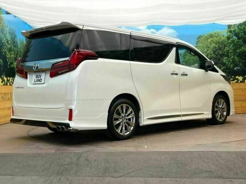 ALPHARD-15