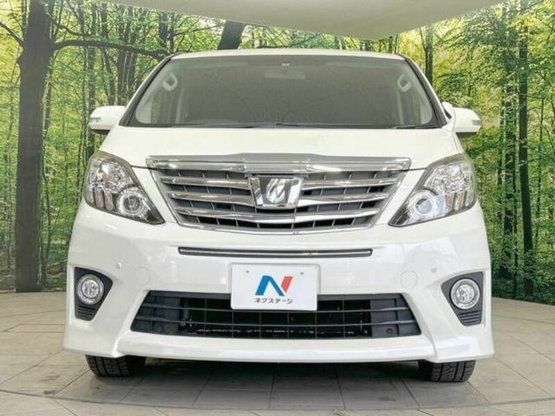 ALPHARD-13