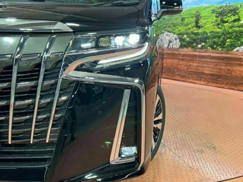 ALPHARD-13