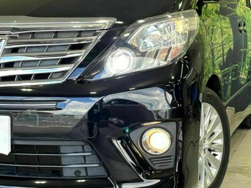 ALPHARD-13