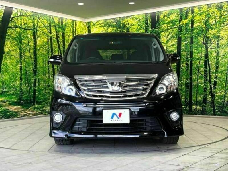 ALPHARD-15