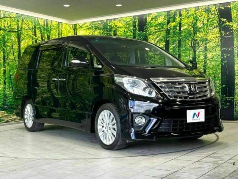 ALPHARD-17