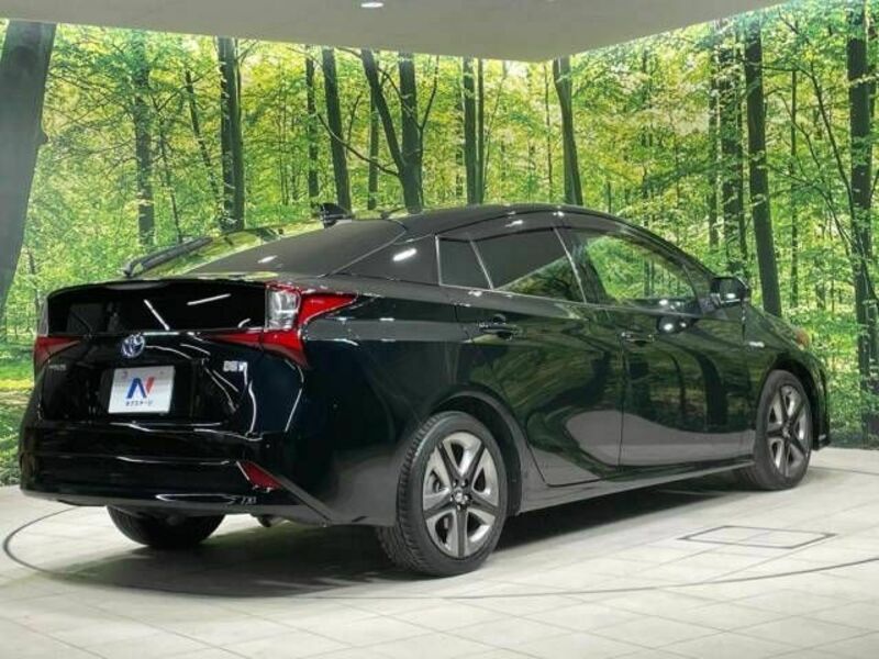 PRIUS-17