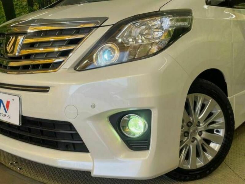 ALPHARD-15