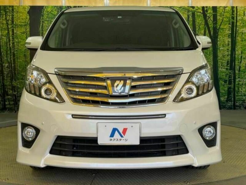 ALPHARD-17