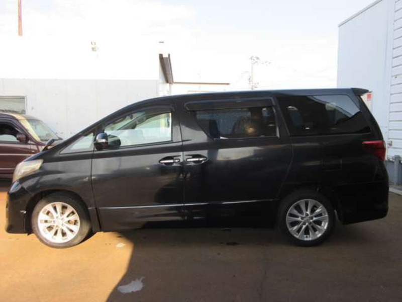 ALPHARD-3