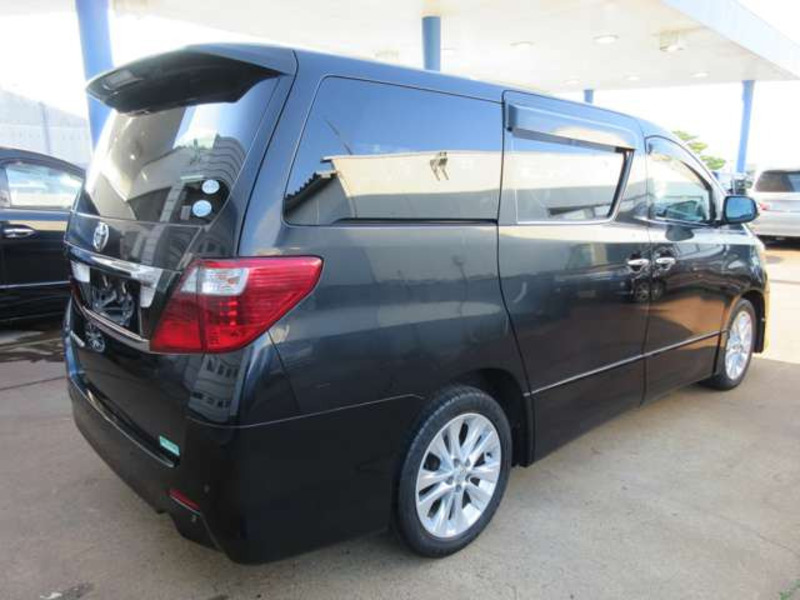 ALPHARD-8