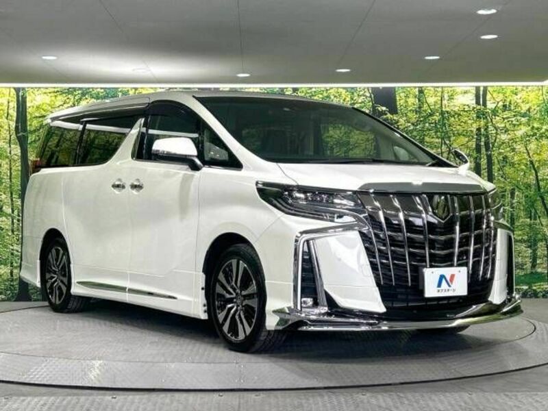 ALPHARD-16