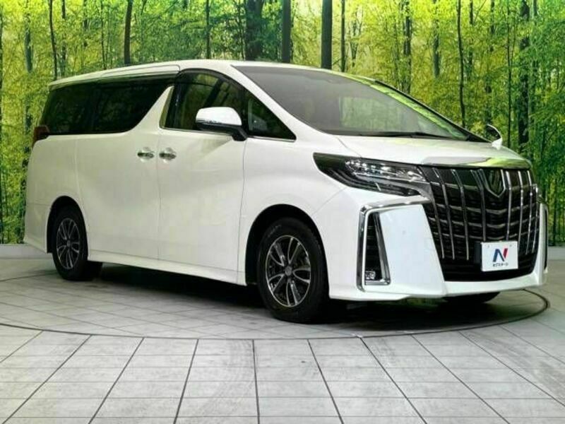 ALPHARD-17