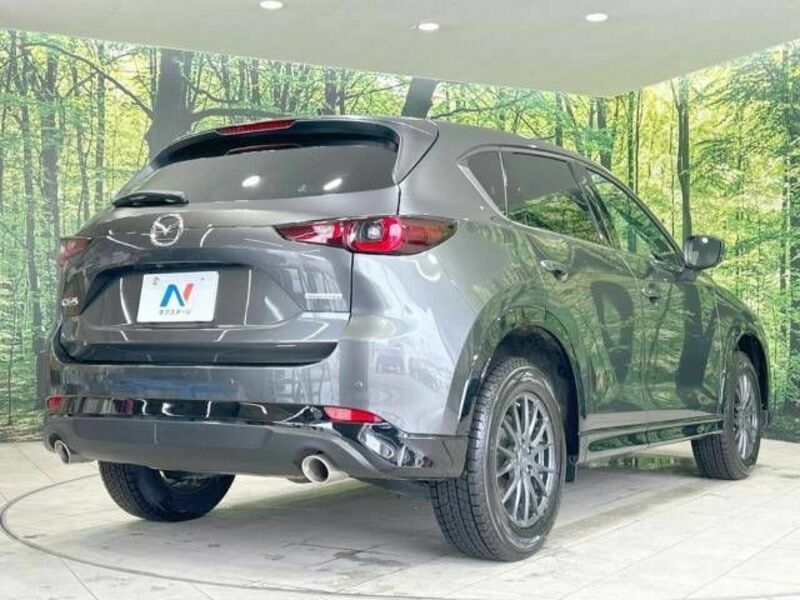 CX-5-17