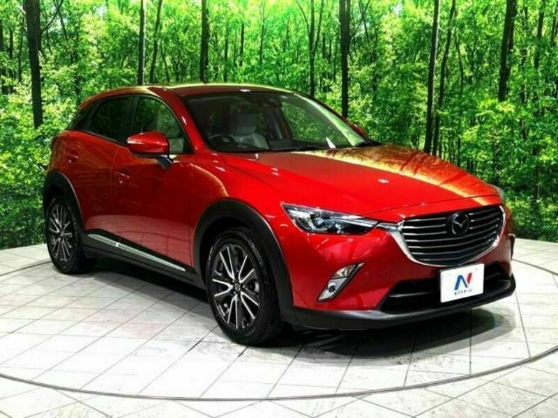 CX-3-17