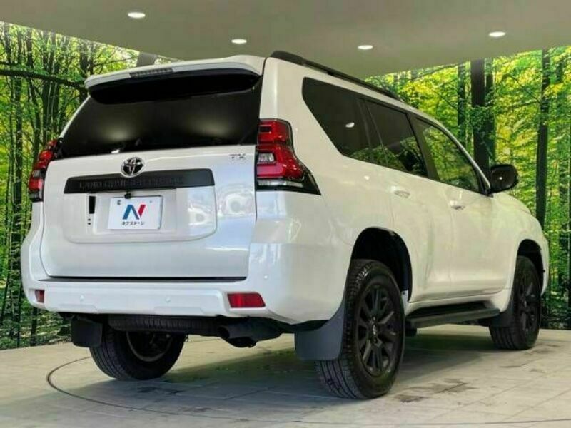 LAND CRUISER PRADO-17