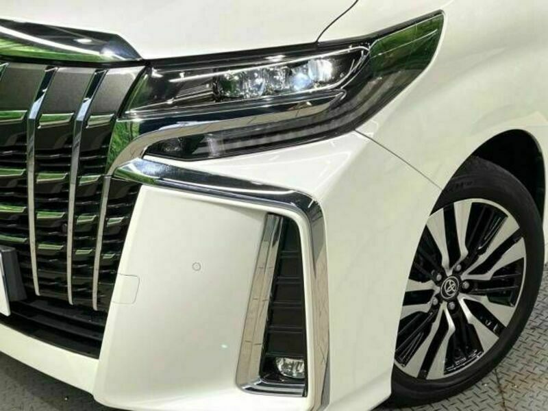 ALPHARD-13