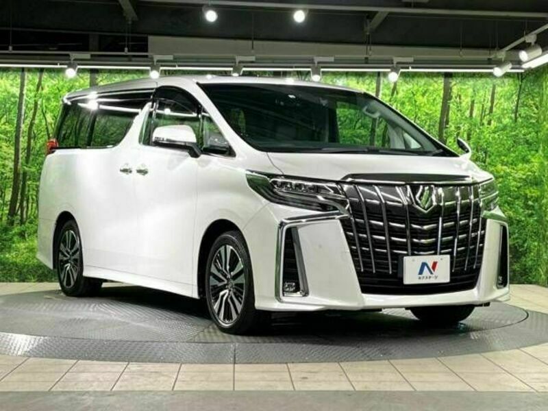 ALPHARD-17