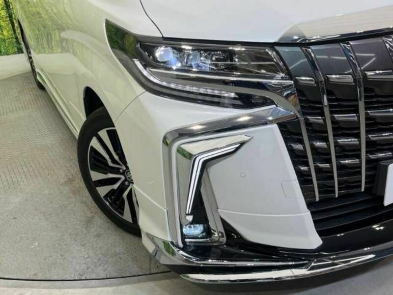 ALPHARD-12