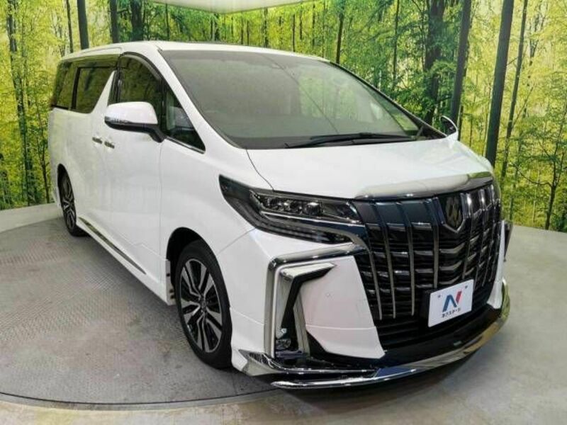 ALPHARD-16