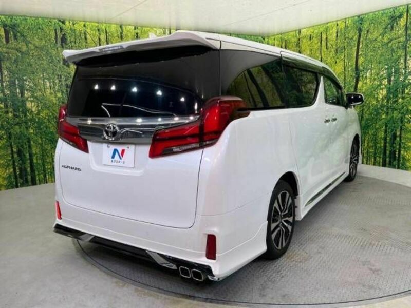 ALPHARD-17