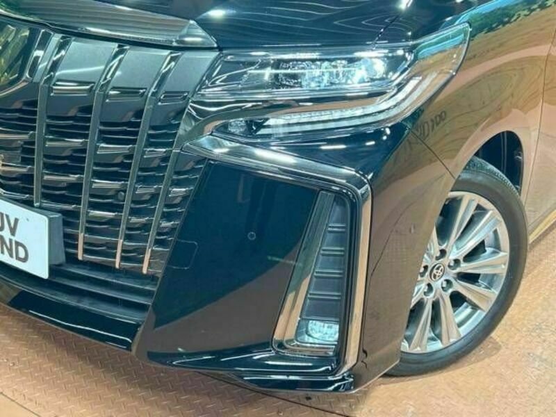 ALPHARD-12