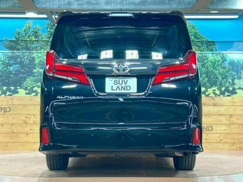 ALPHARD-15