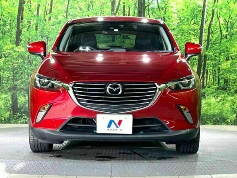 CX-3-13