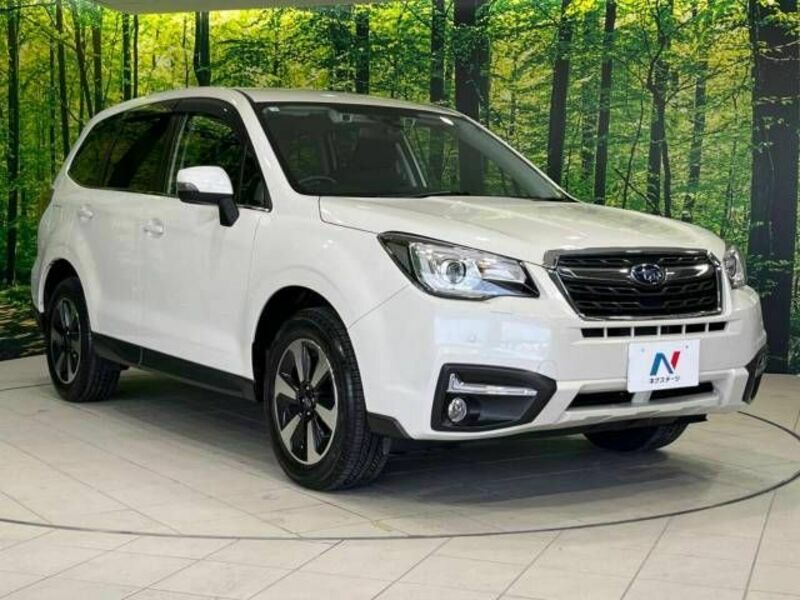 FORESTER-16