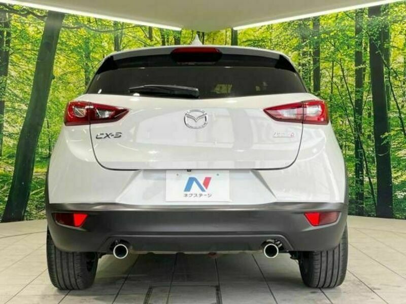 CX-3-15