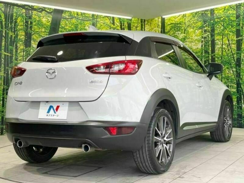 CX-3-17