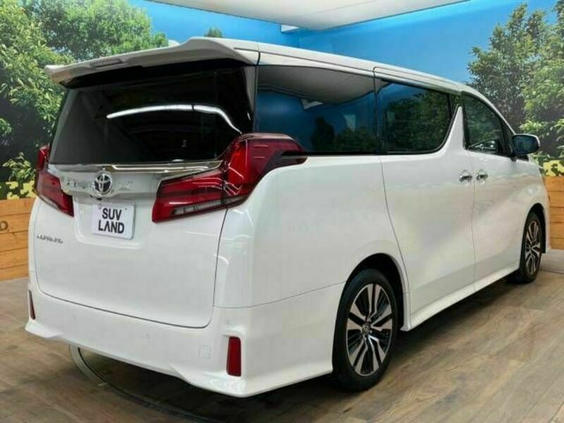 ALPHARD-17