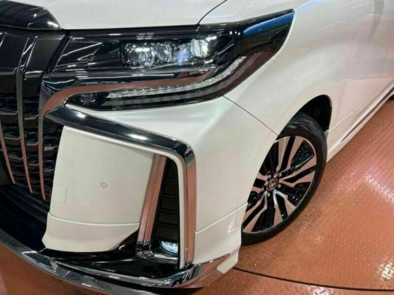 ALPHARD-12