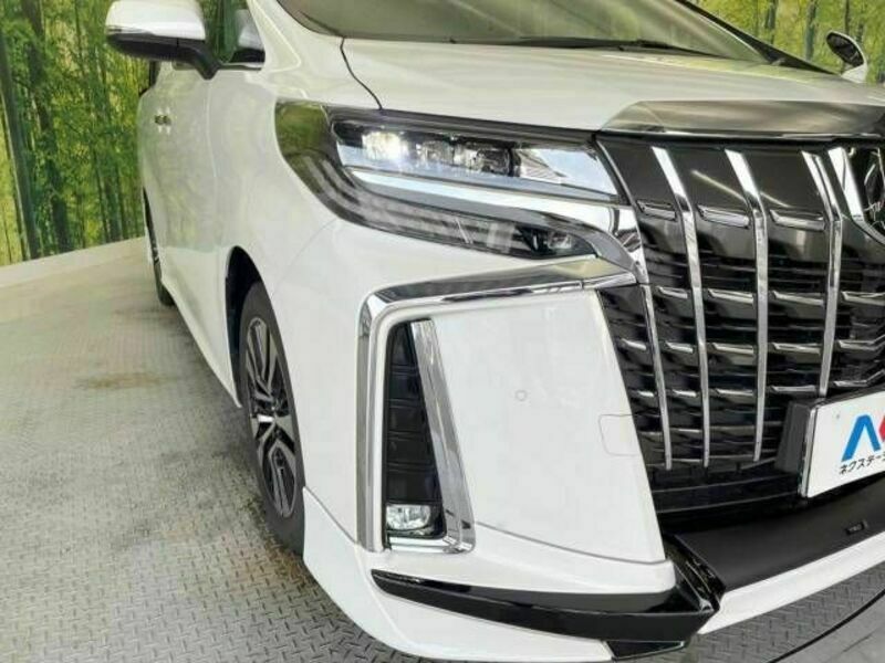 ALPHARD-13