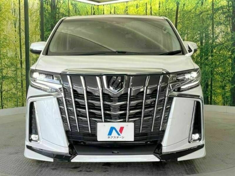 ALPHARD-15