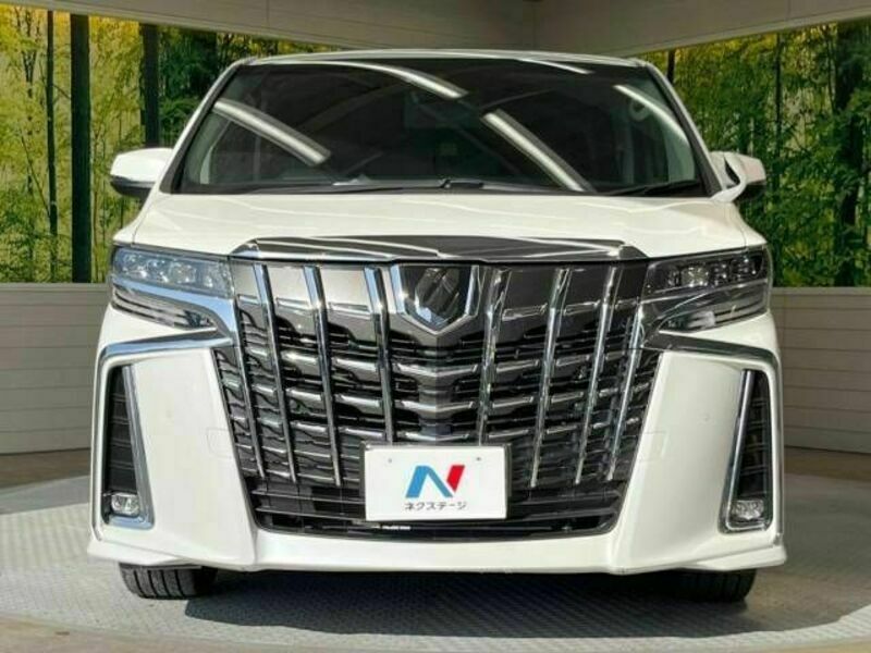 ALPHARD-15