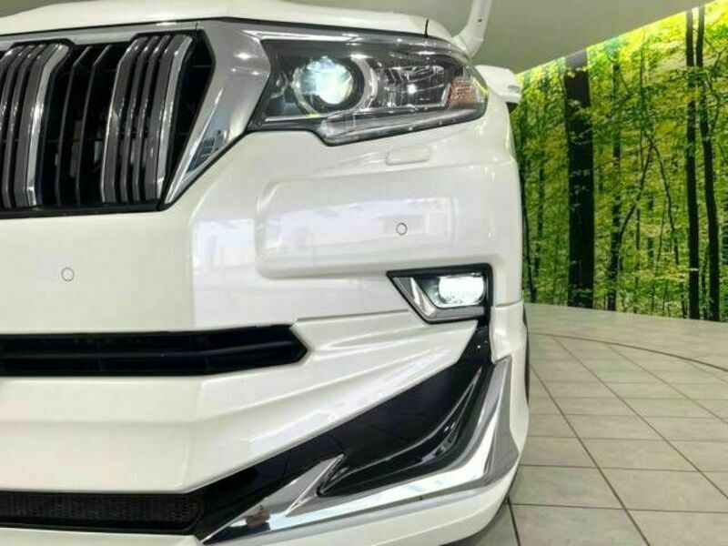 LAND CRUISER PRADO-12