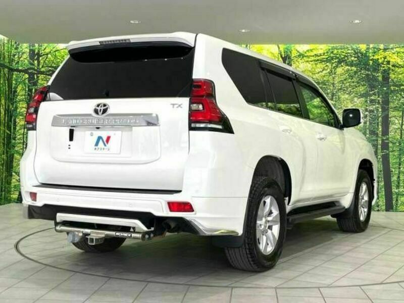 LAND CRUISER PRADO-17