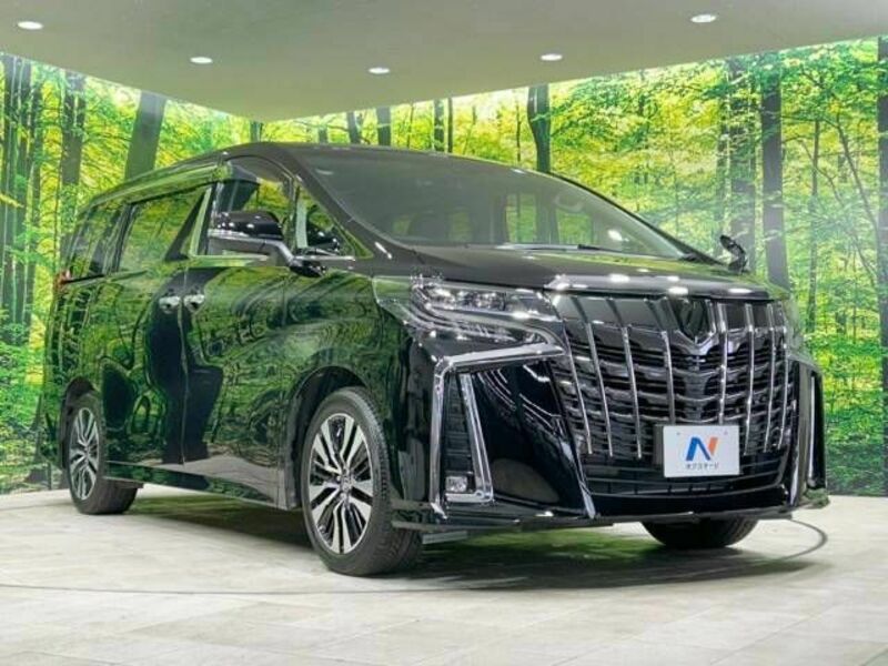 ALPHARD-16