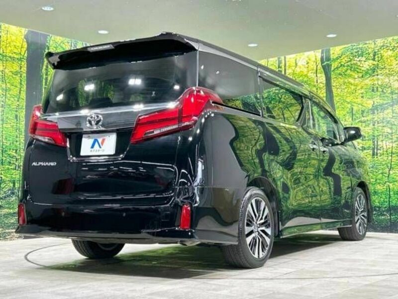 ALPHARD-17