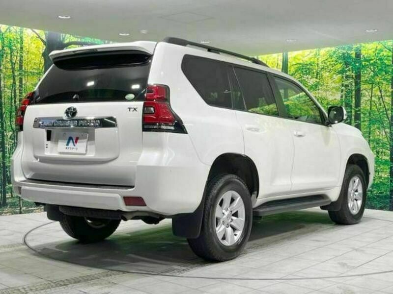 LAND CRUISER PRADO-17