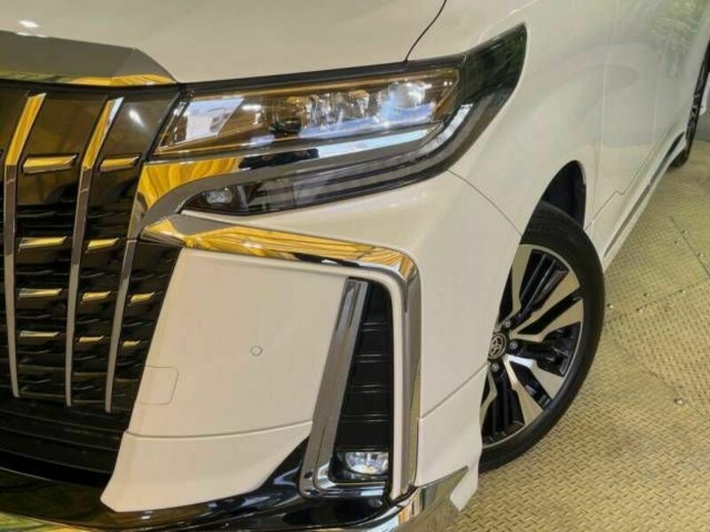 ALPHARD-13