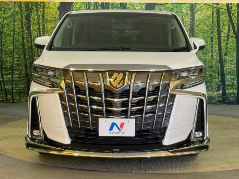 ALPHARD-15