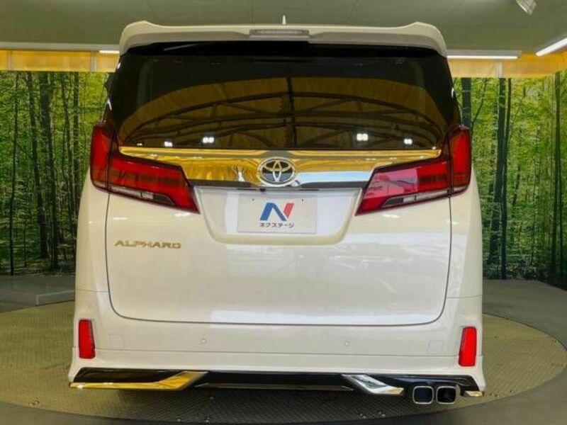 ALPHARD-16